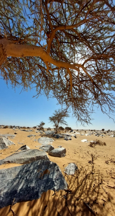 Voyageurs se reposant lors d’une étape dans la région de Smara