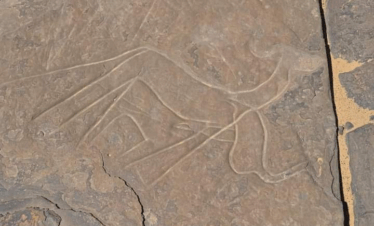 grabados rupestres camellos Smara